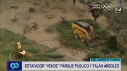 Matones talaron árboles de parque para construir condominio