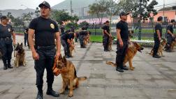 Fiestas Patrias: división policial canina se prepara para el 29