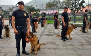 Fiestas Patrias: división policial canina se prepara para el 29