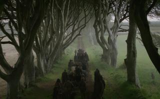 "Game of Thrones": icónico árbol de la serie se partió