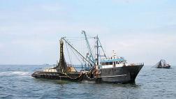 Produce autoriza ejecución de pesca exploratoria de caballa