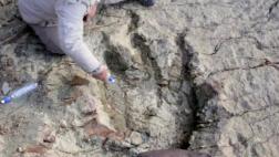 ¿Cómo es la inmensa huella de dinosaurio hallada en Bolivia?