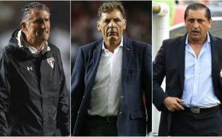 Selección argentina: hoy se elige al nuevo técnico albiceleste