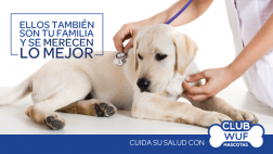 Al proteger a tu perro ayudas a un Wuf