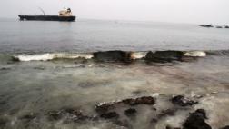 Ilo: derrame de petróleo provoca muerte de especies marinas