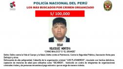 Los más buscados: cayó líder de banda criminal "Los Plataneros"