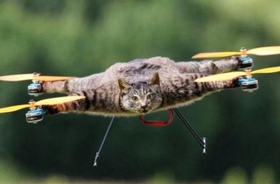 El hombre que convirtió a su gato mascota en un drone