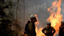 Portugal y Francia refuerzan tareas para controlar incendios