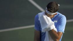 Río 2016: desconsolador llanto de Del Potro tras nuevo triunfo