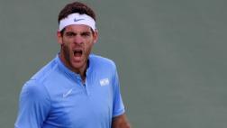 Juan Martín Del Potro ganó a Nadal y jugará final en Río 2016