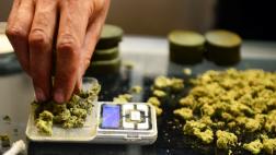 EE.UU.: Prohíben llevar a juicio casos de marihuana terapéutica