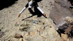 ¿Un verdadero “Jurassic Park” en Bolivia?