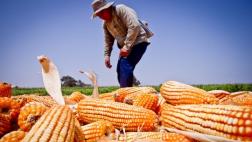 Un fenómeno del mundo rico, por Bjørn Lomborg