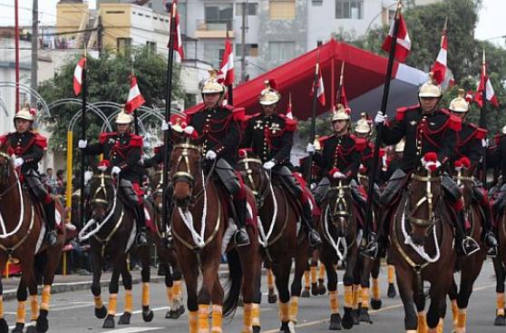 En 3 años han muerto 47 caballos de regimiento Mariscal Nieto