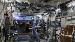 La NASA empleará microbios para reparar su tecnología espacial
