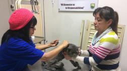 Consultorio veterinario alivia a vecinos de Lince