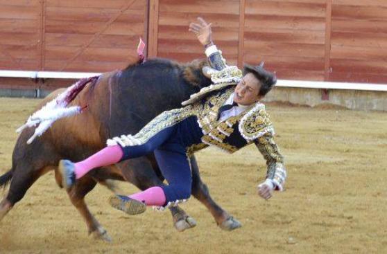 Torero Roca Rey en cuidados intensivos tras embestida de toro
