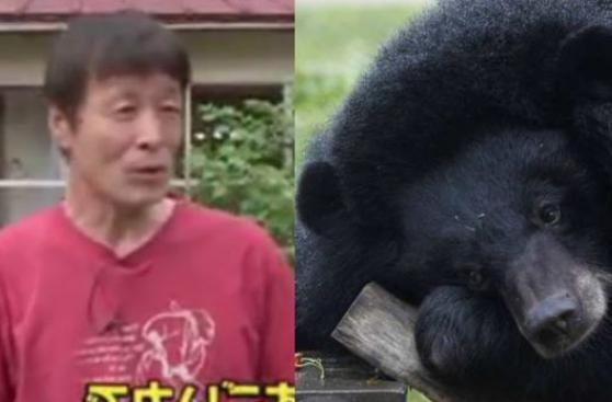 Japón: Un pescador karateca derrotó a un oso