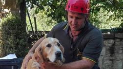 Rescatan a un perro nueve días después del terremoto en Italia