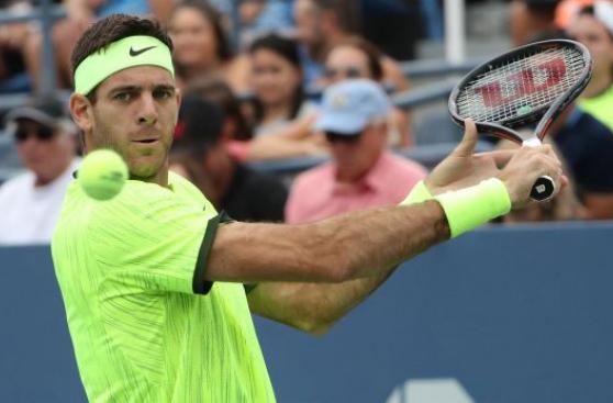 Del Potro está en octavos del US Open: venció a David Ferrer