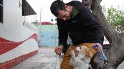 Nueva campaña impulsa adopción de perros