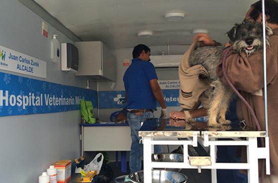 La Molina contra el abandono de mascotas