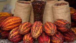 ¿Cómo beneficia denominación de origen a productos peruanos?
