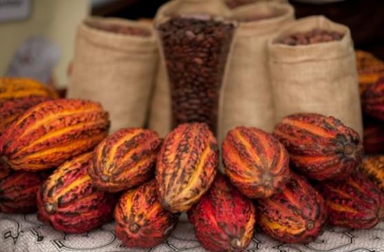¿Cómo beneficia denominación de origen a productos peruanos?