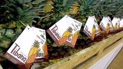 Productores del VRAEM inician exportaciones de piña a España