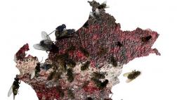El mapa que muestra los casos de corrupción que hay en el Perú