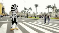 Juventus: mascota oficial del campeón italiano paseó por Lima
