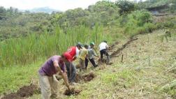 Exportaciones de Piura superaron los US$509 mlls. hasta julio