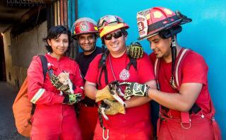Bomberos voluntarios crearon brigada de rescate animal