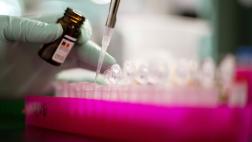 Investigadores hallan método mejor para modificar del ADN