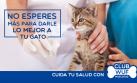 Asistencia veterinaria ahora también para gatos