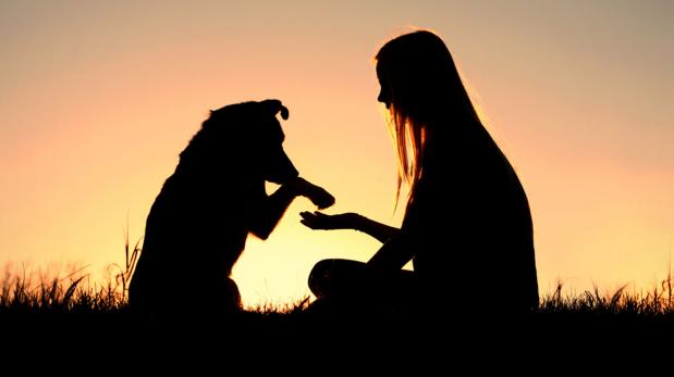 Cinco buenos motivos para convertirte en "madrina" de un perro