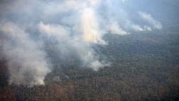 Satipo: Parque Nacional de Otishi en riesgo por voraz incendio