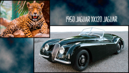 Diseño salvaje, 17 autos inspirados en animales