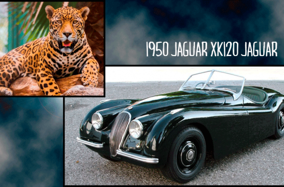 Diseño salvaje, 17 autos inspirados en animales