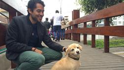 Este perro revolucionó su vida