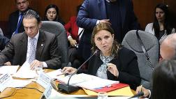 Pérez Tello: Príncipe tiene libertad para elegir a procuradores