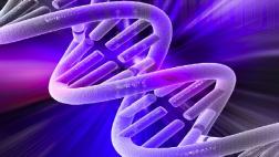 China crea su primer banco de genes con 10 millones de muestras
