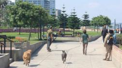 Primavera: temperatura aumentará en Lima desde este domingo