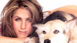 Este es el mail que Jennifer Aniston le enviaría a Brad Pitt