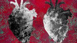 El encanto del bien, por Gonzalo Portocarrero