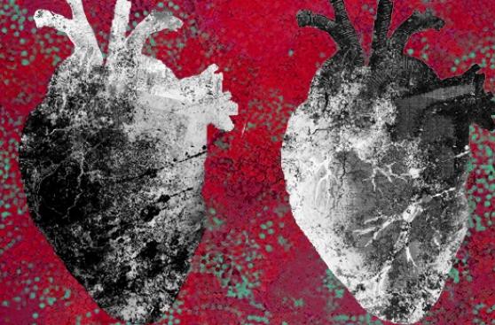 El encanto del bien, por Gonzalo Portocarrero