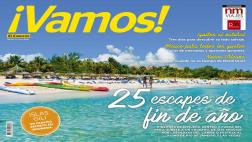 Más de 25 opciones para despedir el año en tu revista ¡Vamos!