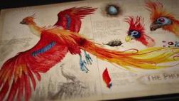 Sale nuevo libro de "Harry Potter y la Cámara de los Secretos"