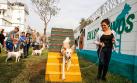 Perros de Los Olivos liberan estrés en su propio parque