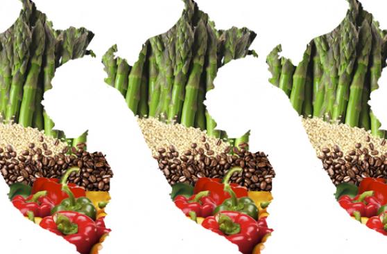 La revolución verde, por Luis Carranza